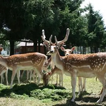Sonnenhof Teinachtal Neuweiler